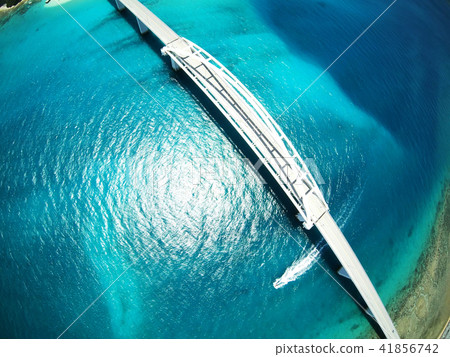 仙石橋空中射擊 仙石橋空中射擊 41856742