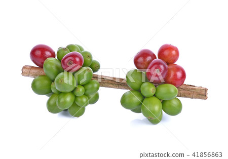 coffee beans on white background. 41856863
