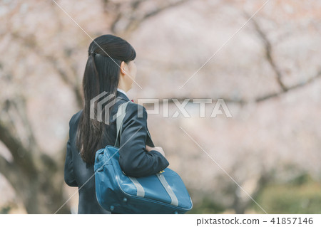 high school girl, cherry blossom, spring 41857146