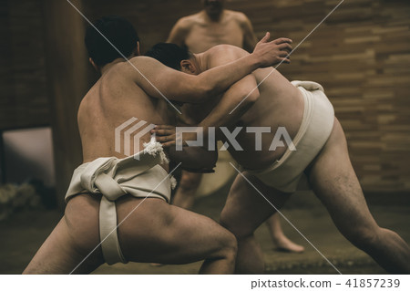 sumo, sumo wrestling, training 41857239