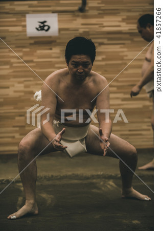sumo, sumo wrestling, training 41857266