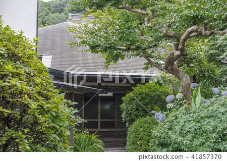 Junkoji（Zushi-shi Kosubo） 41857370