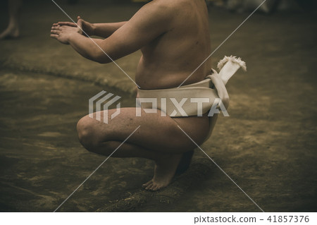 sumo, sumo wrestling, training 41857376