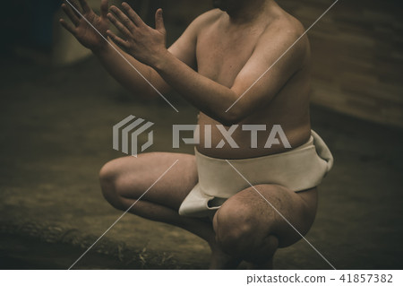 sumo, sumo wrestling, training 41857382