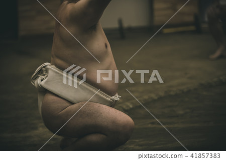 相撲 研修 訓練 41857383