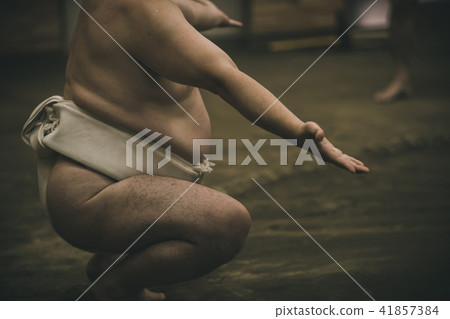 相撲 研修 訓練 41857384
