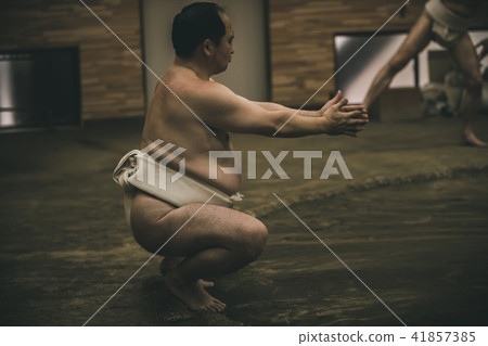 sumo, sumo wrestling, training 41857385