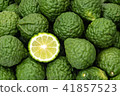 Kaffir limes, one cut citrus fruit herbal medicine 41857523