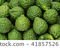 Fresh kaffir limes, fruit for herbal products 41857526