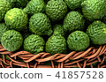 Citrus hystrix, fruit for herbal medicine 41857528