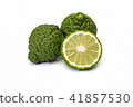 Bergamot fruit kaffir limes on a white background 41857530