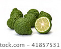 Citrus hystrix, bergamot fruit on white background 41857531