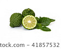 Kaffir limes, bergamot fruit on white background 41857532