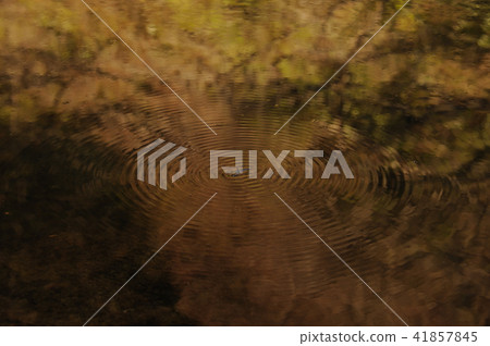 Rippling water surface 41857845