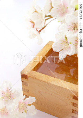 Misu和櫻花 Misu和櫻花 41858109