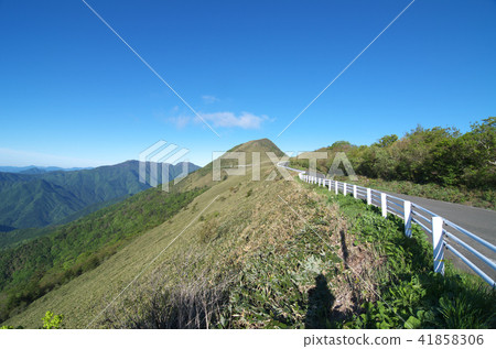 瓶森林森林公路 41858306