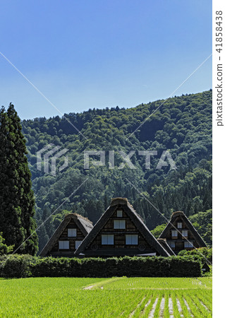 Gifu Shirakawa Kei Sanya 41858438