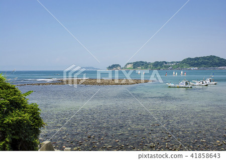 Waga Esashima（鎌倉市Timberwoman） 41858643