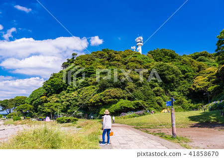 (Kanagawa Prefecture) Kannonzaki Park Promenade 41858670