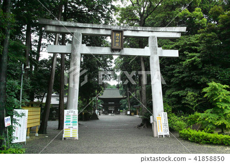Shiga Ogami Shrine 41858850