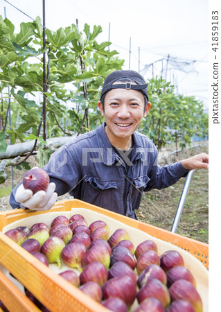 A farmer cultivated in FIG. 41859183