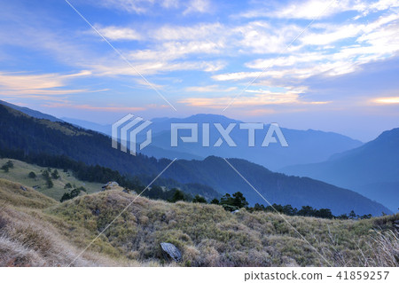 合歡山國家森林遊樂區晨曦 合歡山國家森林遊樂區晨曦 41859257