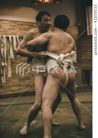 sumo, sumo wrestling, training 41859533
