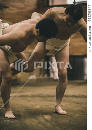 sumo, sumo wrestling, training 41859545