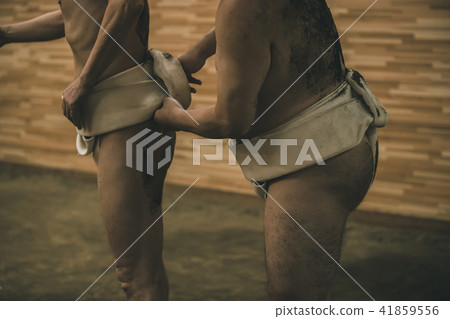 sumo wrestler's loincloth, tighten, sumo 41859556