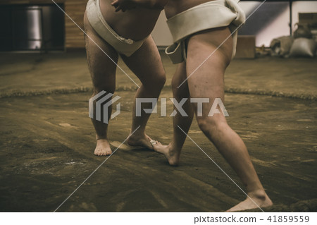sumo, sumo wrestling, training 41859559
