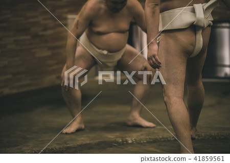 相撲 研修 訓練 41859561