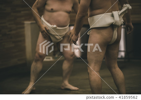 相撲 研修 訓練 41859562