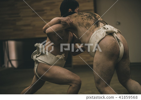 sumo, sumo wrestling, training 41859568