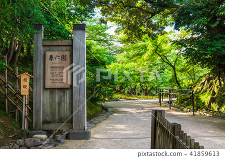 金澤兼六園 金澤兼六園 41859613
