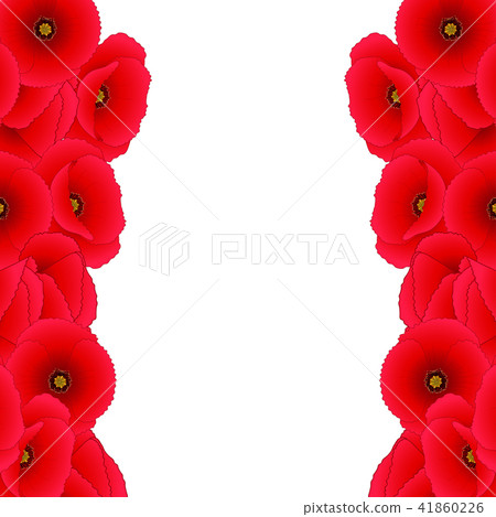 Red Corn Poppy Border Red Corn Poppy Border 41860226