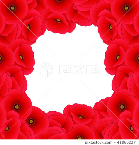 Red Corn Poppy Border Red Corn Poppy Border 41860227