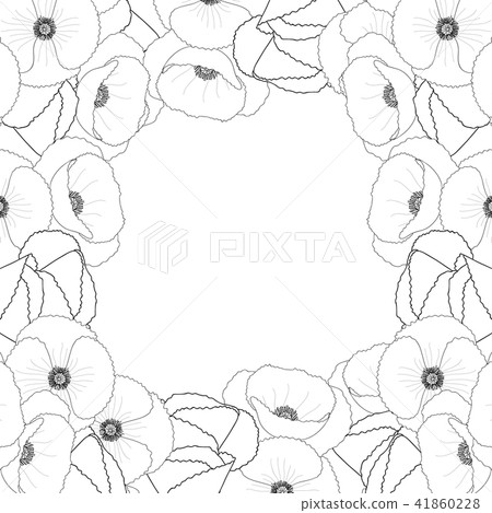 Corn Poppy Outline Border Corn Poppy Outline Border 41860228