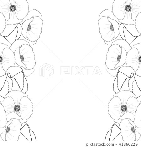 Corn Poppy Outline Border Corn Poppy Outline Border 41860229