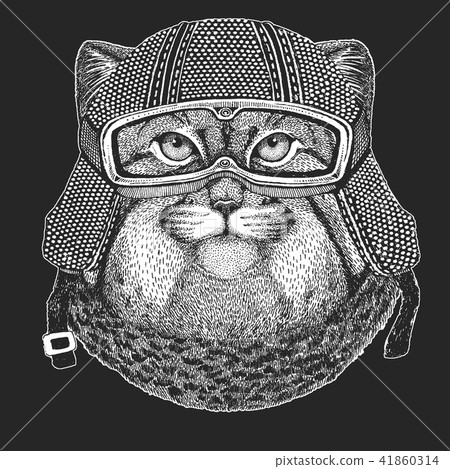 Wild cat Manul Vintage motorcycle hemlet. Retro style illustration with animal biker for children Wild cat Manul Vintage motorcycle hemlet. Retro style illustration with animal biker for children 41860314