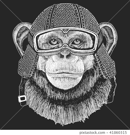 Chimpanzee, Monkey. Vintage motorcycle hemlet. Retro style illustration with animal biker for Chimpanzee, Monkey. Vintage motorcycle hemlet. Retro style illustration with animal biker for 41860315