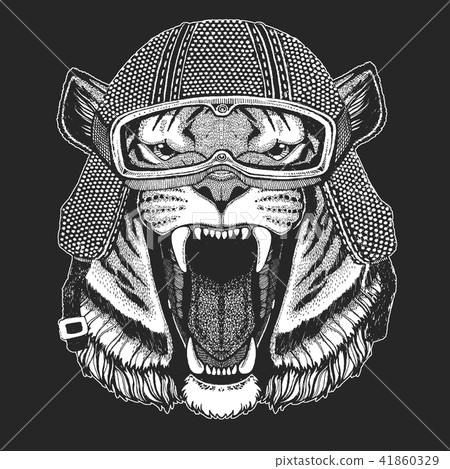 Tiger. Vintage motorcycle hemlet. Retro style illustration with animal biker for children, kids Tiger. Vintage motorcycle hemlet. Retro style illustration with animal biker for children, kids 41860329