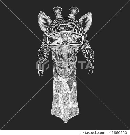 Camelopard, giraffe. Vintage motorcycle hemlet. Retro style illustration with animal biker for Camelopard, giraffe. Vintage motorcycle hemlet. Retro style illustration with animal biker for 41860330