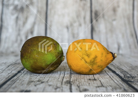 rotten green and yellow lemon put on wooden table rotten green and yellow lemon put on wooden table 41860623