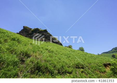 Camel mountain 41861353