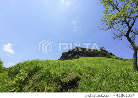 Camel mountain 41861354