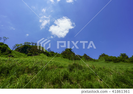 Camel mountain 41861361