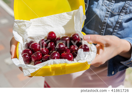Woman giving lunchbox with fresh ripe tasty cherries. Girls hand holding box with organic sweet 41861726