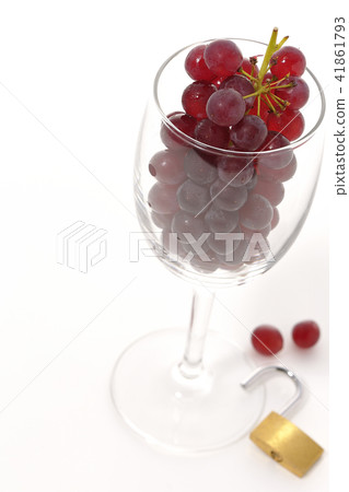 葡萄酒的形象〜解除禁令 -  41861793