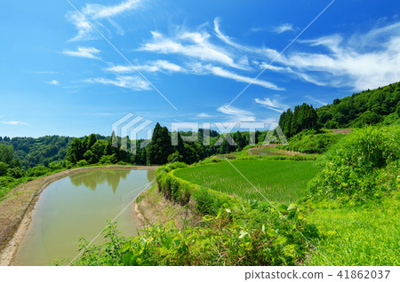 Terraced rice fields and terrace ponds of early summer Yamakoshi Terraced rice fields and terrace ponds of early summer Yamakoshi 41862037