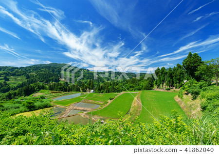 Terraced rice fields and terrace ponds of early summer Yamakoshi Terraced rice fields and terrace ponds of early summer Yamakoshi 41862040